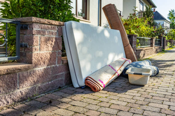 Yard Cleanup Services in Washburn, ND